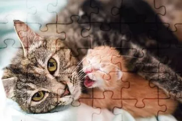 MAMA jigsaw puzzle