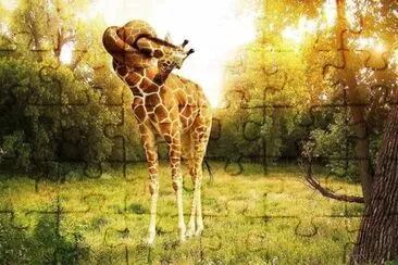 aÃ¯e