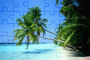 PALMERAS INSOLADAS jigsaw puzzle