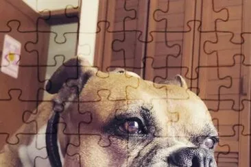 bello ottico jigsaw puzzle