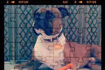 otto bebÃ¨ jigsaw puzzle