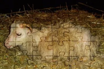 Roslag jigsaw puzzle