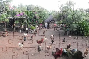 animales jigsaw puzzle
