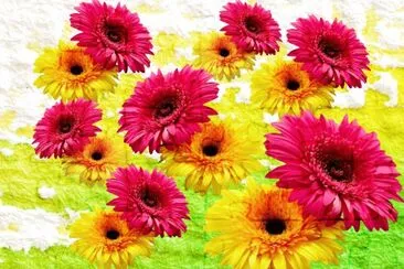 Fleurs jigsaw puzzle