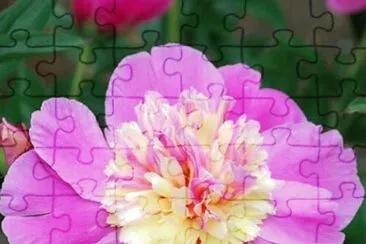 flores jigsaw puzzle