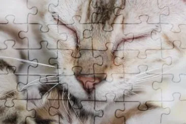 mama cat jigsaw puzzle