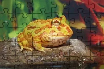 Pacman albina jigsaw puzzle