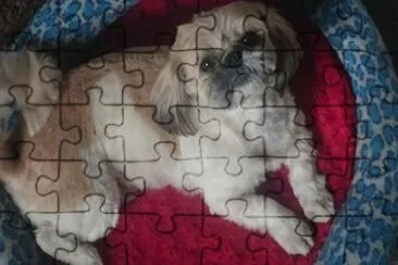 PUQUITA