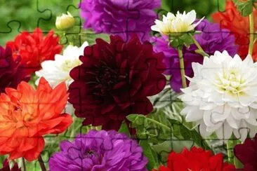 flores jigsaw puzzle