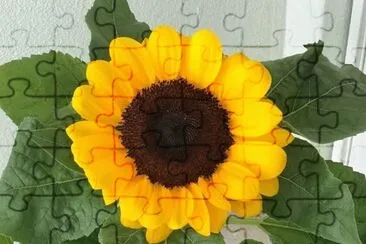 flores jigsaw puzzle