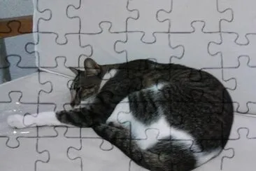 Other of the great lady botitas jigsaw puzzle