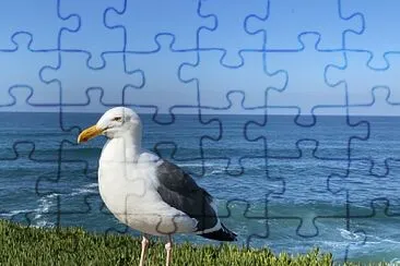 פאזל של San Diego beach