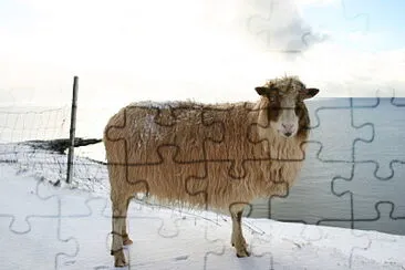 Faroe jigsaw puzzle