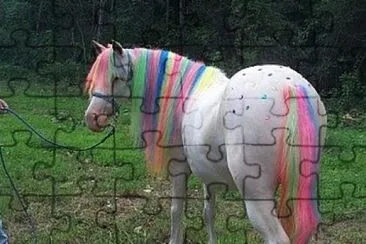 פאזל של Caballo poni