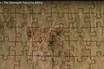 TODO U  LEÓN jigsaw puzzle