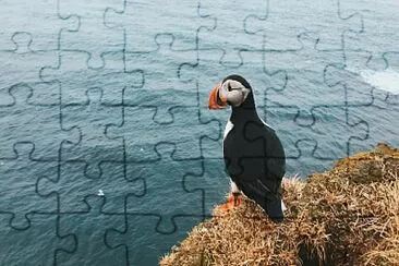 A LA ORILLA DEL MAR jigsaw puzzle