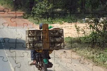 CAMBODIA