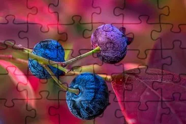 imagem jigsaw puzzle