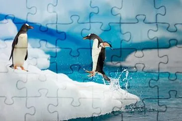 PINGUINOS