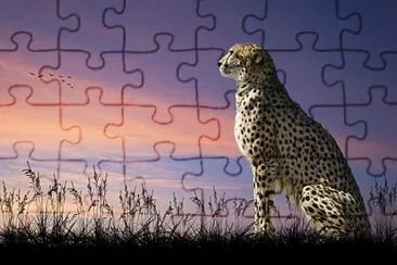 GUEOPARDO jigsaw puzzle