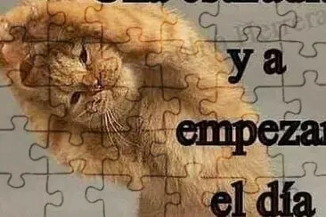 Optimismo