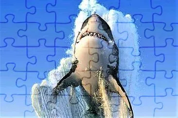 y8 jigsaw puzzle