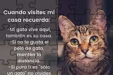 FRASES