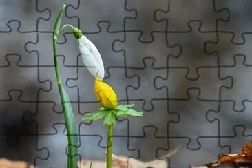 imagem jigsaw puzzle