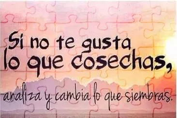 FRASES jigsaw puzzle