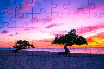 playa jigsaw puzzle