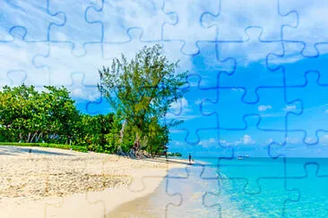 playa jigsaw puzzle