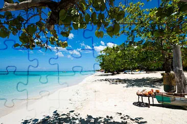 playa jigsaw puzzle