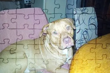 Odin jigsaw puzzle