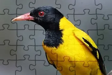 natural jigsaw puzzle