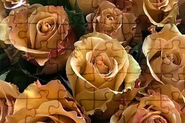 flores jigsaw puzzle