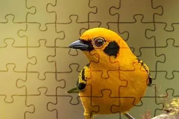natural jigsaw puzzle