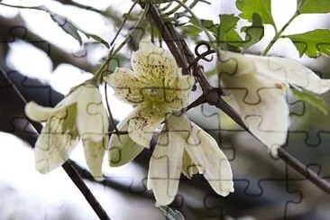 Nature jigsaw puzzle