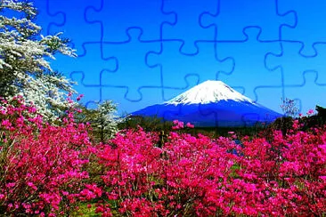 Nature jigsaw puzzle