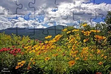 Nature jigsaw puzzle