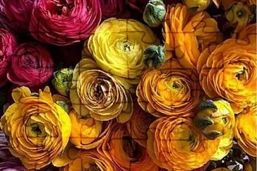 flores