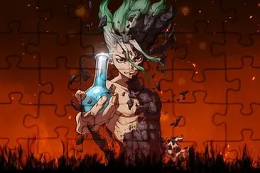 dr stone