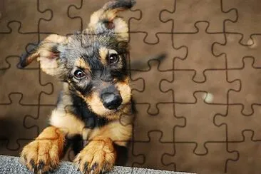 ANIMALITOS jigsaw puzzle