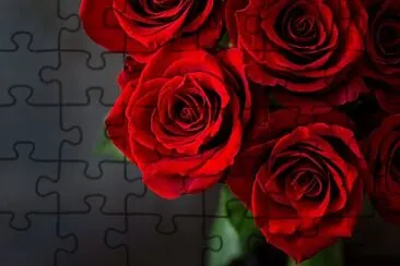 RED jigsaw puzzle