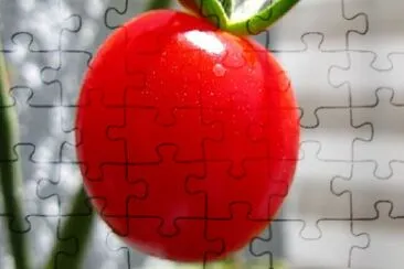 RED jigsaw puzzle