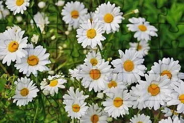 imagem jigsaw puzzle