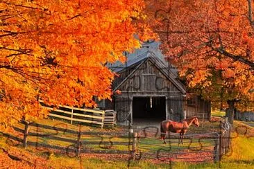 naturaleza