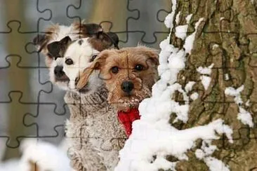 perros jigsaw puzzle