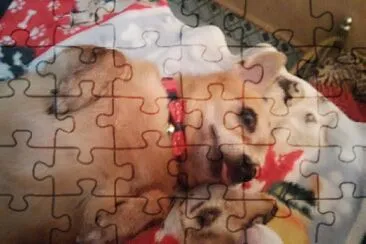 ATE jigsaw puzzle