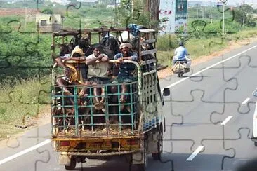 INDIA jigsaw puzzle