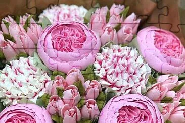 flores